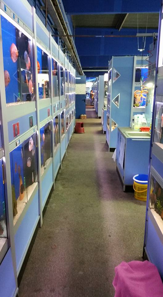 Biggest pet shop in the world